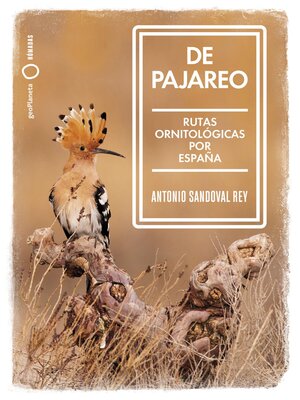 cover image of De pajareo